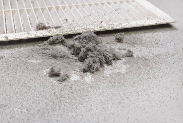 Best Ductwork Cleaning Services  in Buckner, MO