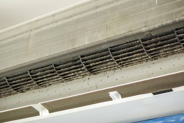 Best Air Quality Test  in Buckner, MO